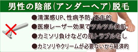 陰部剃毛|【医療従事者監修】陰毛（アンダーヘア）の脱毛とは…